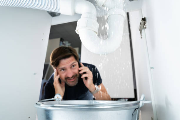 Best Leak Detection Services  in Park City, IL