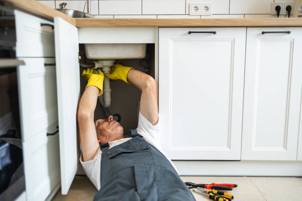 Best Affordable Plumbing Services  in Park City, IL